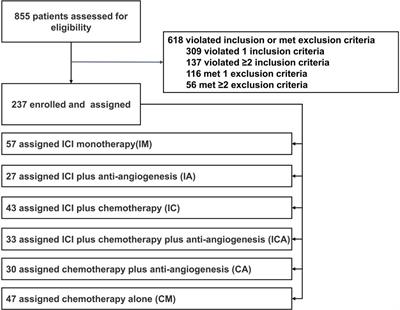 Immunotherapy strategies for EGFR-mutated advanced NSCLC after EGFR tyrosine-kinase inhibitors failure